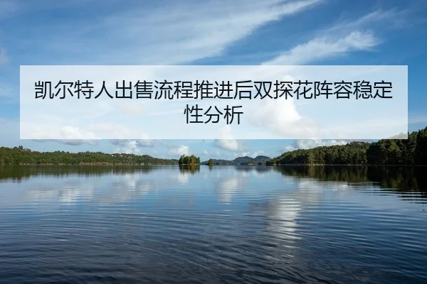 kai-er-te-ren-chu-shou-liu-cheng-tui-jin-hou-shuang-tan-hua-zhen-rong-wen-ding-xing-fen-xi-2-339.jpg