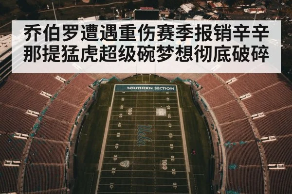 乔伯罗遭遇重伤赛季报销辛辛那提猛虎超级碗梦想彻底破碎